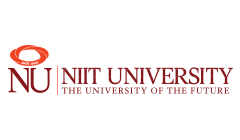 NIIT University